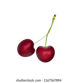 Cherry Realistic 3d Vector Illustration. Ripe Red Cherry Berries. Detailed 3d Illustration Isolated On White. Design Element For Web Or Print Packaging.