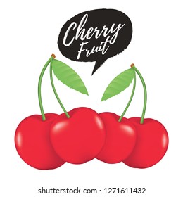 Cherry realistic fruit vector illustration. Ripe red cherry berries with leaves. 