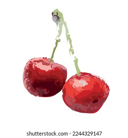 Cereza en la forma vívida de un ilustrador realista para sus ideas y diseños