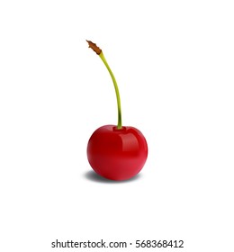 Cherry realistic vector illustration isolated on the white background