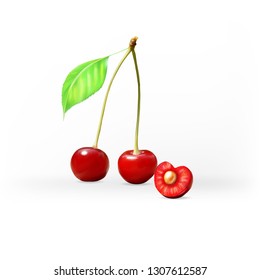 cherry Red 3d realistic  illustration vector cutting berry
