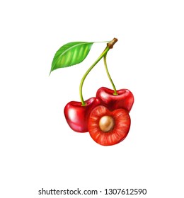 cherry Red 3d realistic  illustration vector cutting berry