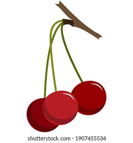 Cherry red berries on tree branch flat vector. Fresh sweet juicy garden fruit isolated on white background. Seasonal summer harvest