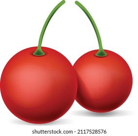 Cherry red fresh new illustration two