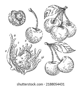vector dibujado a mano con un conjunto de frutos rojos de cereza. moras agrias, rama de hojas, comida dulce de árbol fresco, boceto de frutas de cerezo maduro natural de jardín. ilustración negra aislada