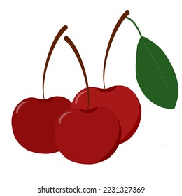 Cherry red illustration vector with leaf 