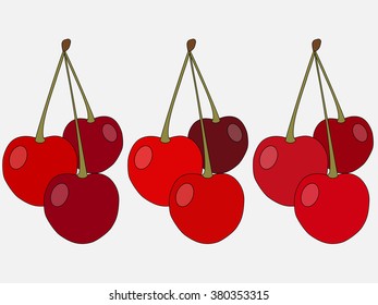 Cherry. Ripe berry. Vector illustration.
