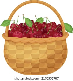 Cereza. Fresas maduras en una canasta de mimbre. Cesta con cerezas. Cesta con bayas maduras. Productos de vitamina. Ilustración del vector aislada en un fondo blanco
