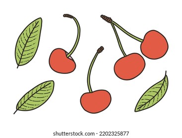 Cherry and sage leaves, spice, fragrant herbs - vector illustration in cartoon style. Set of objects isolated on white background. Vector isolated icons.