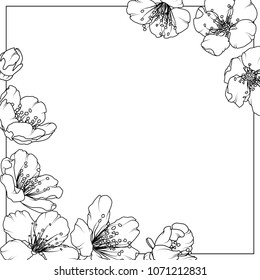 Cherry sakura aliche tree flowers spring bloom blossom. Detailed black white line design drawing outline sketch. Square rectangular border frame card template with decorated corners.