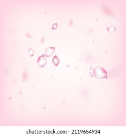 Cherry Sakura Blossom Confetti. Blooming Cosmetics Ad Elegant Flower Background. Windy Leaves Confetti Poster. Noble Rich VIP Feminine Texture. Flying Japanese Sakura Rose Cherry Petals Banner.
