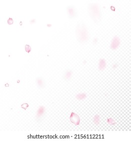 Cherry Sakura Blossom Confetti. Blooming Cosmetics Ad Beautiful Flower Background. Windy Leaves Confetti Banner. Falling Japanese Sakura Rose Cherry Petals Border. Noble Premium Watercolor Texture.