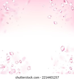 Cherry Sakura Blossom Confetti. Blooming Cosmetics Ad Beautiful Flower Background. Flying Japanese Rose Sakura Cherry Petals Border. Noble Rich VIP Magic Pattern. Windy Leaves Confetti Banner.