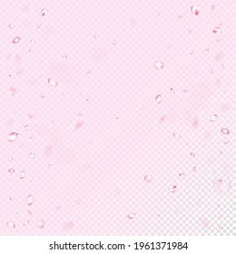 Cherry Sakura Blossom Confetti. Elegant Rich VIP Tender Texture. Falling Japanese Sakura Cherry Rose Petals Design. Blooming Cosmetics Ad Beautiful Flower Background. Windy Leaves Confetti Banner.
