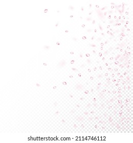Cherry Sakura Blossom Confetti. Elegante Premium Tender Textur. Fliegend japanische Kirsche Sakura Rose Petals Design. Blühende Kosmetik und schöner floraler Hintergrund. Windy-Blätter-Confetti-Banner.