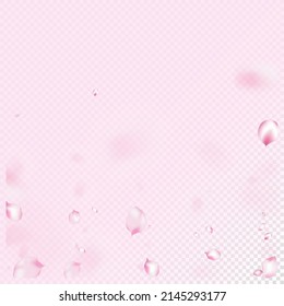 Cherry Sakura Blossom Confetti. Elegant Rich VIP Magic Pattern. Flying Japanese Rose Sakura Cherry Petals Frame. Blooming Cosmetics Ad Noble Flower Background. Windy Leaves Confetti Poster.