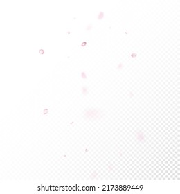Cherry Sakura Blossom Confetti. Elegant Rich VIP Pastel Texture. Falling Japanese Sakura Cherry Rose Petals Poster. Blooming Cosmetics Ad Noble Flower Background. Windy Leaves Confetti Banner.