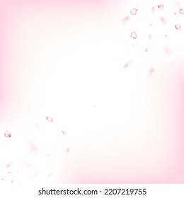 Cherry Sakura Blossom Confetti. Elegant Rich VIP Pastel Pattern. Falling Japanese Cherry Rose Sakura Petals Border. Windy Leaves Confetti Design. Blooming Cosmetics Ad Noble Flower Background.