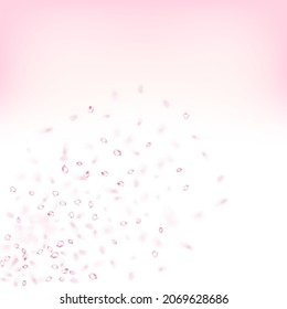 Cherry Sakura Blossom Confetti. Falling Japanese Sakura Cherry Rose Petals Poster. Blooming Cosmetics Ad Female Floral Background. Windy Leaves Confetti Design. Elegant Premium Pastel Pattern.