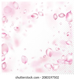 Cherry Sakura Blossom Confetti. Falling Japanese Rose Cherry Sakura Petals Poster. Beautiful Rich VIP Watercolor Texture. Windy Leaves Confetti Border. Blooming Cosmetics Ad Noble Flower Background.