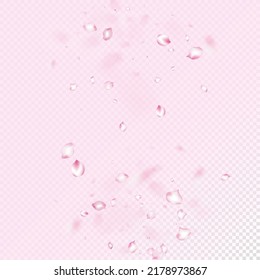 Cherry Sakura Blossom Confetti. Falling Japanese Cherry Rose Sakura Petals Poster. Blooming Cosmetics Ad Female Flower Background. Elegant Premium Watercolor Texture. Windy Leaves Confetti Frame.