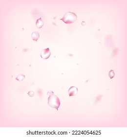 Cherry Sakura Blossom Confetti. Caída del marco de los petales del cerezo rosa japonés de la cereza de Sakura. Patrón mágico premium femenino. Windy Deja El Diseño Confetti. Cosméticos Florecientes Y Fondo Floral Elegante.
