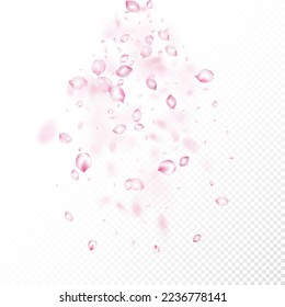 Cherry Sakura Blossom Confetti. Falling Japanese Cherry Sakura Rose Petals Design. Beautiful Rich VIP Pastel Pattern. Windy Leaves Confetti Frame. Blooming Cosmetics Ad Elegant Flower Background.