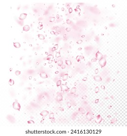 Cherry Sakura Blossom Confetti. Caída del marco de los pétalos de cerezo de rosa Sakura japonés. Windy Deja El Diseño Confetti. Elegante Patrón Femenino Premium. Cosméticos Florecientes Y Hermoso Fondo Floral.