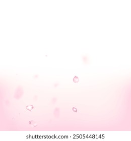 Cherry Sakura Blossom Confetti. Falling Japanese Sakura Cherry Rose Petals Banner. Blooming Cosmetics Ad Elegant Floral Background. Noble Premium Feminine Pattern. Windy Leaves Confetti Frame.