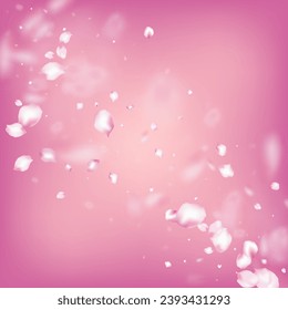 Cherry Sakura Blossom Confetti. Female Rich VIP Feminine Texture. Falling Japanese Rose Sakura Cherry Petals Frame. Windy Leaves Confetti Design. Blooming Cosmetics Ad Beautiful Flower Background.