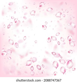 Cherry Sakura Blossom Confetti. Flying Japanese Rose Cherry Sakura Petals Frame. Windy Leaves Confetti Poster. Noble Rich VIP Tender Texture. Blooming Cosmetics Ad Elegant Floral Background.