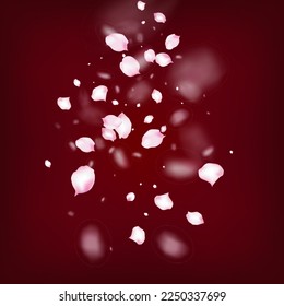 Cherry Sakura Blossom Confetti. Flying Japanese Rose Sakura Cherry Petals Frame. Blooming Cosmetics Ad Female Flower Background. Windy Leaves Confetti Design. Elegant Rich VIP Magic Pattern.