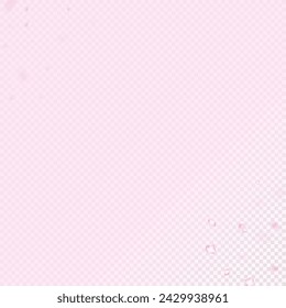 Cherry Sakura Blossom Confetti. Flying Japanese Cherry Rose Sakura Petals Banner. Blooming Cosmetics Ad Female Floral Background. Noble Premium Feminine Texture. Windy Leaves Confetti Border.