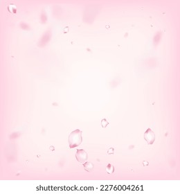 Cherry Sakura Blossom Confetti. Noble Premium Magic Texture. Windy Leaves Confetti Poster. Flying Japanese Cherry Rose Sakura Petals Banner. Blooming Cosmetics Ad Beautiful Floral Background.
