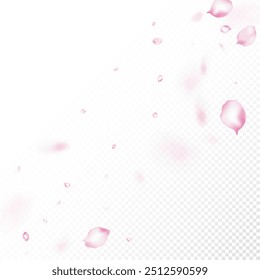 Cherry Sakura Blossom Confetti. Noble Rich VIP Watercolor Texture. Windy Leaves Confetti Border. Falling Japanese Cherry Sakura Rose Petals Banner. Blooming Cosmetics Ad Beautiful Flower Background.