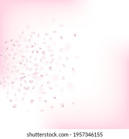 Cherry Sakura Blossom Confetti. Windy Leaves Confetti Frame. Falling Japanese Sakura Rose Cherry Petals Design. Beautiful Premium Pastel Pattern. Blooming Cosmetics Ad Female Flower Background.
