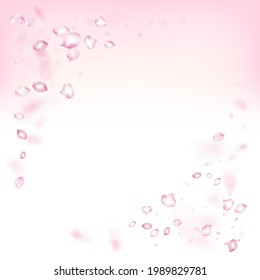 Cherry Sakura Blossom Confetti. Windy Leaves Confetti Poster. Blooming Cosmetics Ad Female Flower Background. Elegant Rich VIP Tender Pattern. Falling Japanese Rose Cherry Sakura Petals Border.
