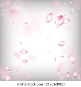 Cherry Sakura Blossom Confetti. Windy Leaves Confetti Design. Flying Japanese Sakura Rose Cherry Petals Frame. Female Rich VIP Feminine Pattern. Blooming Cosmetics Ad Beautiful Floral Background.