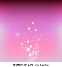 Cherry Sakura Blossom Confetti. Windy Leaves Confetti Design. Female Premium Magic Pattern. Flying Japanese Rose Sakura Cherry Petals Frame. Blooming Cosmetics Ad Beautiful Floral Background.