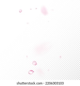 Cherry Sakura Blossom Confetti. Windy Leaves Confetti Frame. Female Rich VIP Magic Texture. Falling Japanese Rose Cherry Sakura Petals Border. Blooming Cosmetics Ad Noble Floral Background.
