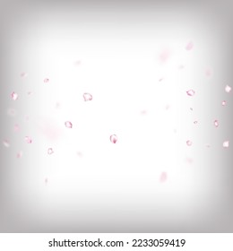 Cherry Sakura Blossom Confetti. Windy Leaves Confetti Design. Falling Japanese Rose Sakura Cherry Petals Poster. Beautiful Rich VIP Pastel Texture. Blooming Cosmetics Ad Female Floral Background.