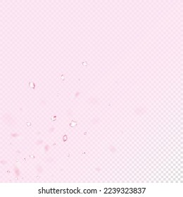 Cherry Sakura Blossom Confetti. Windy Leaves Confetti Banner. Blooming Cosmetics Ad Elegant Flower Background. Female Rich VIP Feminine Pattern. Flying Japanese Rose Cherry Sakura Petals Border.