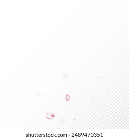 Cherry Sakura Blossom Confetti. Windy Leaves Confetti Poster. Blooming Cosmetics Ad Female Flower Background. Noble Premium Feminine Texture. Falling Japanese Cherry Sakura Rose Petals Frame.