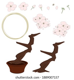 Cherry sakura blossom set, tree and gold rings. Flowers and petals. Pink asian vector art.
