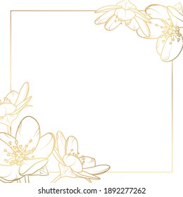 Cherry sakura flowers bloom blossom. Square card border frame template decoration. Luxury shiny golden glow outline. White background. Vector illustration.