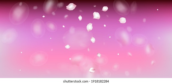 Cherry Sakura Petals Confetti. Beautiful Rich VIP Magic Texture. Windy Leaves Confetti Frame. Flying Japanese Sakura Rose Cherry Petals Design. Blooming Cosmetics Ad Elegant Floral Background.