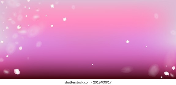 Cherry Sakura Petals Confetti. Beautiful Premium Tender Pattern. Blooming Cosmetics Ad Elegant Floral Background. Flying Japanese Sakura Rose Cherry Petals Design. Windy Leaves Confetti Banner.