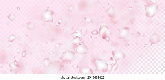 Cherry Sakura Petals Confetti. Beautiful Rich VIP Watercolor Pattern. Flying Japanese Cherry Rose Sakura Petals Design. Blooming Cosmetics Ad Noble Floral Background. Windy Leaves Confetti Frame.
