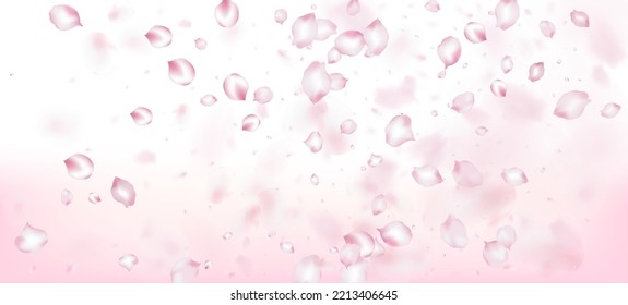 Cherry Sakura Petals Confetti. Beautiful Premium Pastel Texture. Blooming Cosmetics Ad Noble Floral Background. Windy Leaves Confetti Banner. Falling Japanese Cherry Sakura Rose Petals Poster.