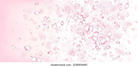 Cherry Sakura Petals Confetti. Beautiful Premium Magic Texture. Flying Japanese Cherry Sakura Rose Petals Design. Blooming Cosmetics Ad Female Flower Background. Windy Leaves Confetti Border.